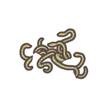 Medusa Snakes